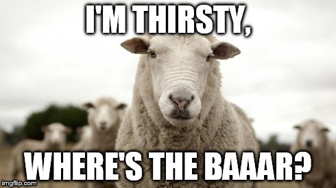 Sheep | I'M THIRSTY, WHERE'S THE BAAAR? | image tagged in sheep | made w/ Imgflip meme maker