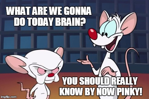 Brains Dilemma | WHAT ARE WE GONNA DO TODAY BRAIN? YOU SHOULD REALLY KNOW BY NOW PINKY! | image tagged in pinky and the brain,bad memory | made w/ Imgflip meme maker