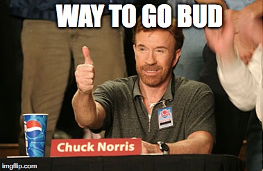 When your brother says he's having a kid | WAY TO GO BUD | image tagged in memes,chuck norris approves | made w/ Imgflip meme maker