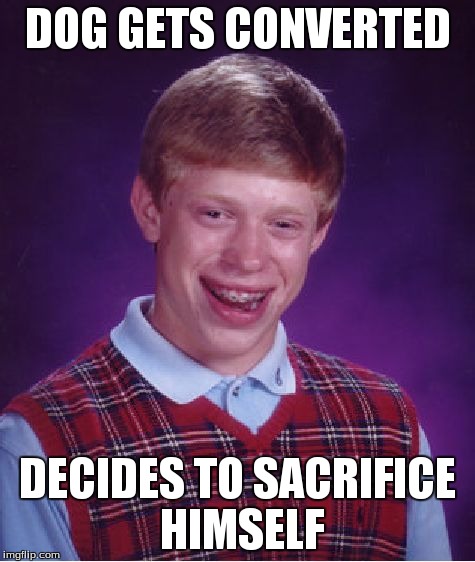 Bad Luck Brian Meme | DOG GETS CONVERTED DECIDES TO SACRIFICE HIMSELF | image tagged in memes,bad luck brian | made w/ Imgflip meme maker