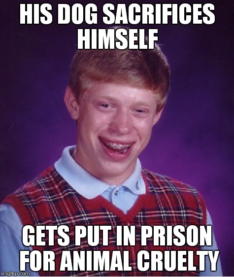 Bad Luck Brian Meme | HIS DOG SACRIFICES HIMSELF GETS PUT IN PRISON FOR ANIMAL CRUELTY | image tagged in memes,bad luck brian | made w/ Imgflip meme maker