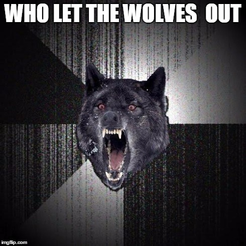 Insanity Wolf | WHO LET THE WOLVES 
OUT | image tagged in memes,insanity wolf | made w/ Imgflip meme maker
