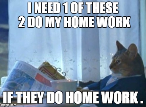 I Should Buy A Boat Cat | I NEED 1 OF THESE 2 DO MY HOME WORK IF THEY DO HOME WORK . | image tagged in memes,i should buy a boat cat | made w/ Imgflip meme maker