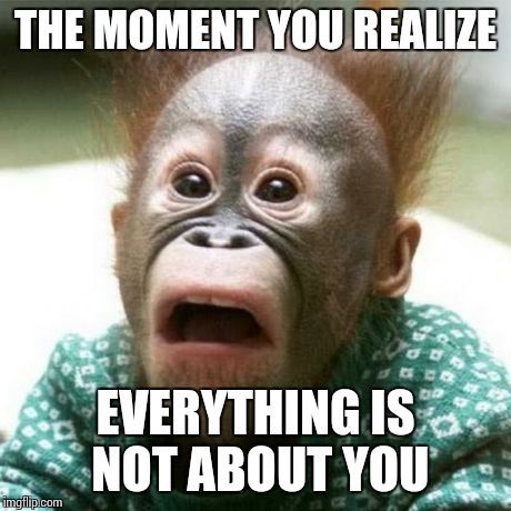 Shocked Monkey | THE MOMENT YOU REALIZE EVERYTHING IS NOT ABOUT YOU | image tagged in shocked monkey | made w/ Imgflip meme maker