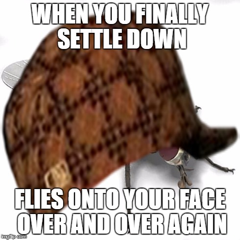 WHEN YOU FINALLY SETTLE DOWN FLIES ONTO YOUR FACE OVER AND OVER AGAIN | image tagged in scumbag house fly | made w/ Imgflip meme maker