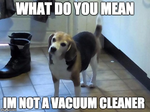 WHAT DO YOU MEAN IM NOT A VACUUM CLEANER | image tagged in snickers | made w/ Imgflip meme maker