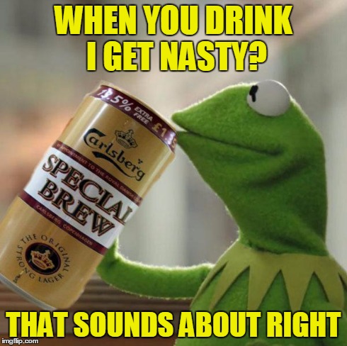kermit special brew | WHEN YOU DRINK I GET NASTY? THAT SOUNDS ABOUT RIGHT | image tagged in kermit special brew | made w/ Imgflip meme maker