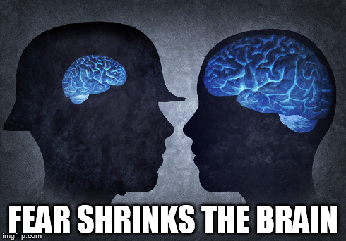 Fear shrinks the brain | FEAR SHRINKS THE BRAIN | image tagged in fear,brain | made w/ Imgflip meme maker