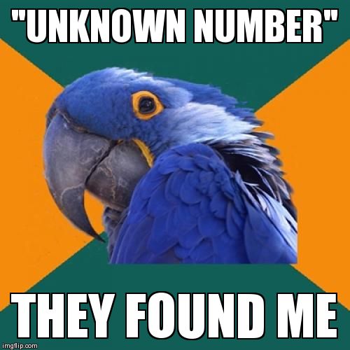 Paranoid Parrot | image tagged in memes,paranoid parrot | made w/ Imgflip meme maker