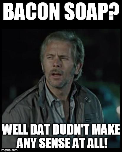 Reece Sense | BACON SOAP? WELL DAT DUDN'T MAKE ANY SENSE AT ALL! | image tagged in reece sense | made w/ Imgflip meme maker