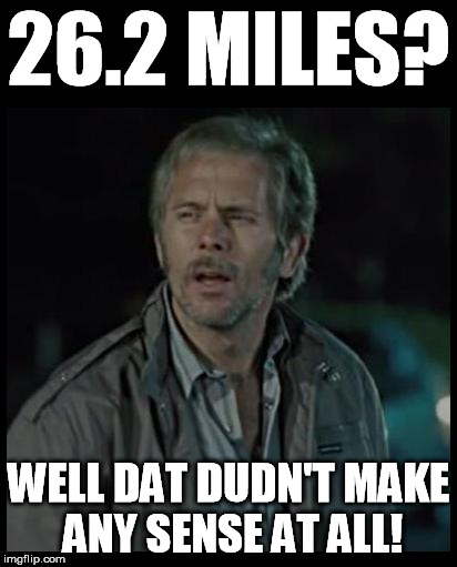 Reece Sense | 26.2 MILES? WELL DAT DUDN'T MAKE ANY SENSE AT ALL! | image tagged in reece sense | made w/ Imgflip meme maker