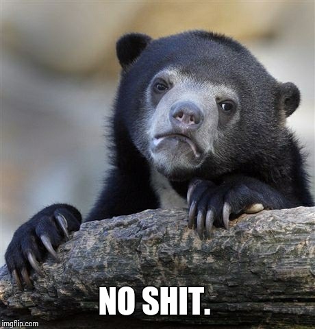 Confession Bear Meme | NO SHIT. | image tagged in memes,confession bear | made w/ Imgflip meme maker
