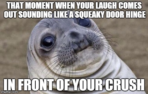 The Only Time It Happens | THAT MOMENT WHEN YOUR LAUGH COMES OUT SOUNDING LIKE A SQUEAKY DOOR HINGE IN FRONT OF YOUR CRUSH | image tagged in memes,awkward moment sealion | made w/ Imgflip meme maker