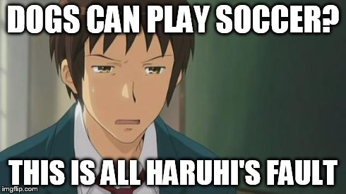 Kyon WTF | DOGS CAN PLAY SOCCER? THIS IS ALL HARUHI'S FAULT | image tagged in kyon wtf | made w/ Imgflip meme maker