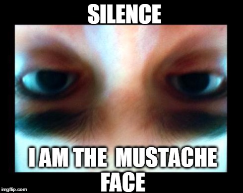 SILENCE I AM THE MUSTACHE FACE | image tagged in the mustache face | made w/ Imgflip meme maker