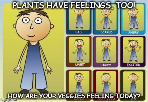 PLANTS HAVE FEELINGS, TOO! HOW ARE YOUR VEGGIES FEELING TODAY? | image tagged in plants have feelings,too | made w/ Imgflip meme maker