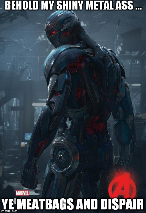 Age of Ultron | BEHOLD MY SHINY METAL ASS ... YE MEATBAGS AND DISPAIR | image tagged in age of ultron | made w/ Imgflip meme maker