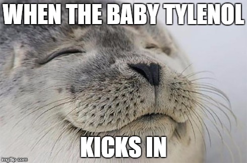 Satisfied Seal Meme | WHEN THE BABY TYLENOL KICKS IN | image tagged in memes,satisfied seal | made w/ Imgflip meme maker