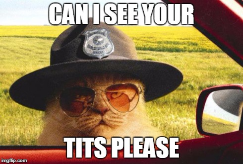 CopCat | CAN I SEE YOUR TITS PLEASE | image tagged in copcat | made w/ Imgflip meme maker