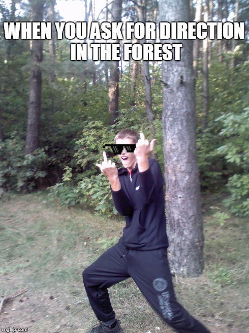 WHEN YOU ASK FOR DIRECTION IN THE FOREST | image tagged in funny,forrest gump | made w/ Imgflip meme maker