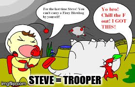 Steve is a trooper | STEVE = TROOPER | image tagged in pikmin,steve the pikmin,trooper | made w/ Imgflip meme maker