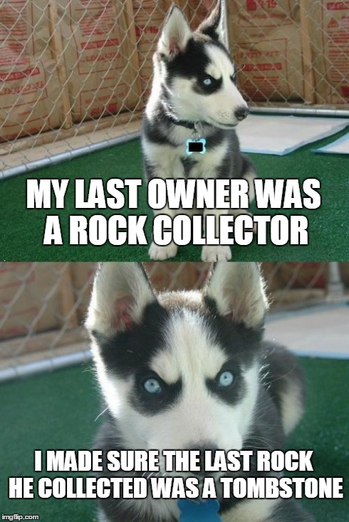 Insanity Puppy Meme | MY LAST OWNER WAS A ROCK COLLECTOR I MADE SURE THE LAST ROCK HE COLLECTED WAS A TOMBSTONE | image tagged in memes,insanity puppy,lol,death,scary,dogs | made w/ Imgflip meme maker