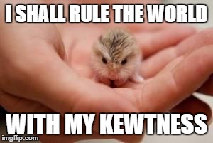 I SHALL RULE THE WORLD WITH MY KEWTNESS | image tagged in cute | made w/ Imgflip meme maker