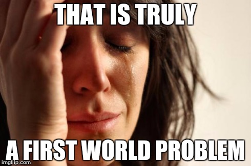 First World Problems Meme | THAT IS TRULY A FIRST WORLD PROBLEM | image tagged in memes,first world problems | made w/ Imgflip meme maker