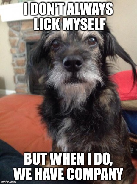 I DON'T ALWAYS LICK MYSELF BUT WHEN I DO, WE HAVE COMPANY | image tagged in the most interesting dog in the world | made w/ Imgflip meme maker