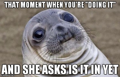 Awkward Moment Sealion Meme | THAT MOMENT WHEN YOU'RE "DOING IT" AND SHE ASKS IS IT IN YET | image tagged in memes,awkward moment sealion | made w/ Imgflip meme maker