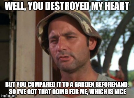 So I Got That Goin For Me Which Is Nice Meme | WELL, YOU DESTROYED MY HEART BUT YOU COMPARED IT TO A GARDEN BEFOREHAND, SO I'VE GOT THAT GOING FOR ME, WHICH IS NICE | image tagged in memes,so i got that goin for me which is nice | made w/ Imgflip meme maker