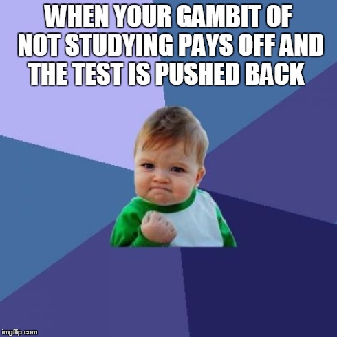 Success Kid | WHEN YOUR GAMBIT OF NOT STUDYING PAYS OFF AND THE TEST IS PUSHED BACK | image tagged in memes,success kid | made w/ Imgflip meme maker