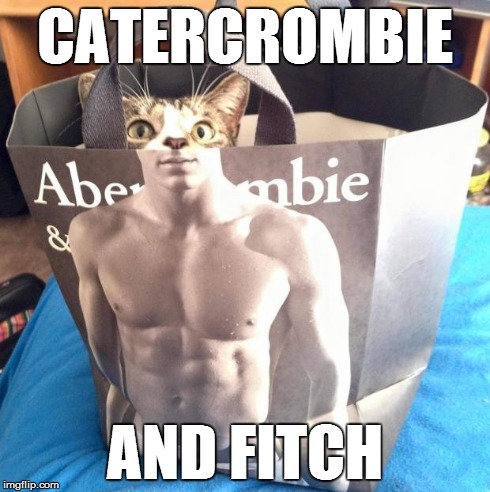 CATERCROMBIE AND FITCH | image tagged in catercrombie | made w/ Imgflip meme maker