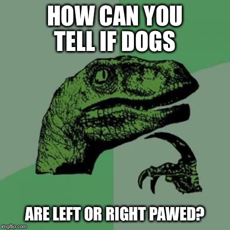 Philosoraptor Meme | HOW CAN YOU TELL IF DOGS ARE LEFT OR RIGHT PAWED? | image tagged in memes,philosoraptor | made w/ Imgflip meme maker