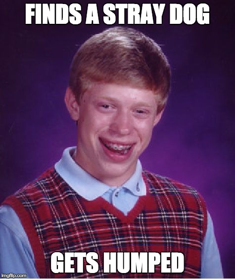 Bad Luck Brian Meme | FINDS A STRAY DOG GETS HUMPED | image tagged in memes,bad luck brian | made w/ Imgflip meme maker