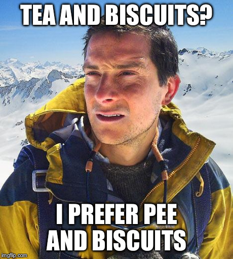 Bear Grylls | TEA AND BISCUITS? I PREFER PEE AND BISCUITS | image tagged in memes,bear grylls | made w/ Imgflip meme maker