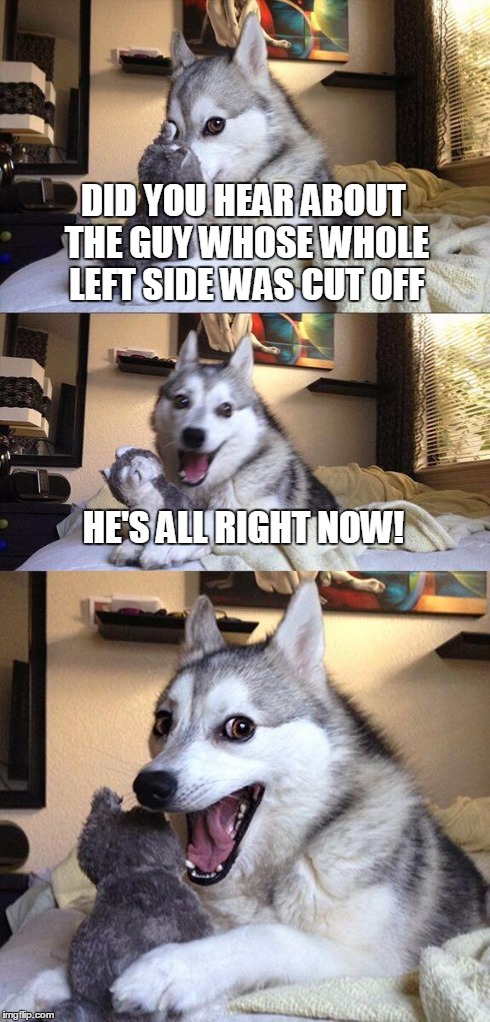 Bad Pun Dog | DID YOU HEAR ABOUT THE GUY WHOSE WHOLE LEFT SIDE WAS CUT OFF HE'S ALL RIGHT NOW! | image tagged in memes,bad pun dog | made w/ Imgflip meme maker