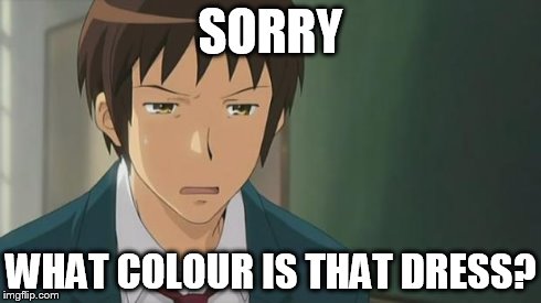 Kyon WTF | SORRY WHAT COLOUR IS THAT DRESS? | image tagged in kyon wtf | made w/ Imgflip meme maker