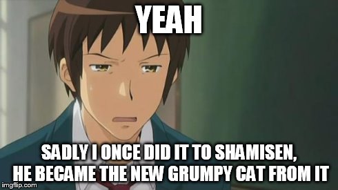 Kyon WTF | YEAH SADLY I ONCE DID IT TO SHAMISEN, HE BECAME THE NEW GRUMPY CAT FROM IT | image tagged in kyon wtf | made w/ Imgflip meme maker