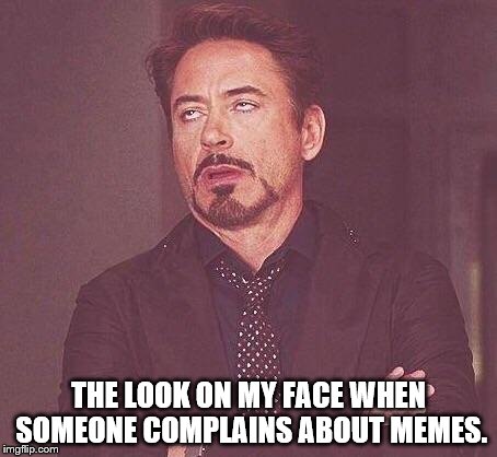 Robert Downey Jr.  | THE LOOK ON MY FACE WHEN SOMEONE COMPLAINS ABOUT MEMES. | image tagged in robert downey jr | made w/ Imgflip meme maker