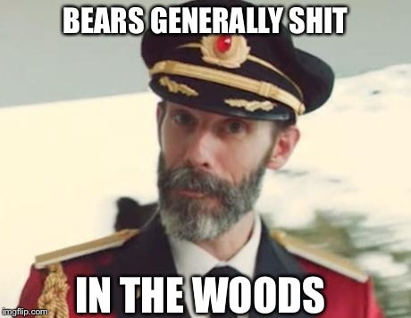 Captain Obvious | BEARS GENERALLY SHIT IN THE WOODS | image tagged in captain obvious | made w/ Imgflip meme maker