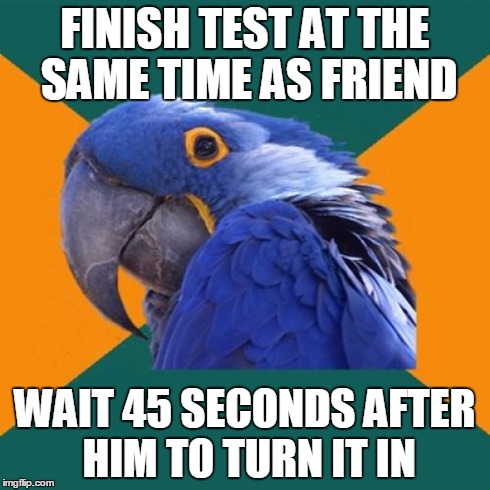 Paranoid Parrot | FINISH TEST AT THE SAME TIME AS FRIEND WAIT 45 SECONDS AFTER HIM TO TURN IT IN | image tagged in memes,paranoid parrot,AdviceAnimals | made w/ Imgflip meme maker