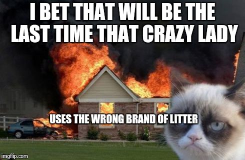 Burn Kitty | I BET THAT WILL BE THE LAST TIME THAT CRAZY LADY USES THE WRONG BRAND OF LITTER | image tagged in memes,burn kitty | made w/ Imgflip meme maker