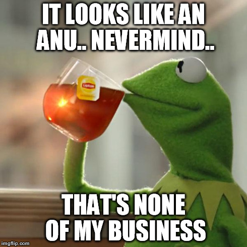 But That's None Of My Business Meme | IT LOOKS LIKE AN ANU.. NEVERMIND.. THAT'S NONE OF MY BUSINESS | image tagged in memes,but thats none of my business,kermit the frog | made w/ Imgflip meme maker
