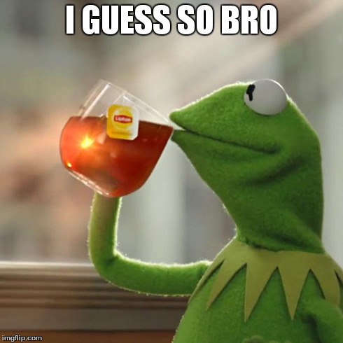 But That's None Of My Business Meme | I GUESS SO BRO | image tagged in memes,but thats none of my business,kermit the frog | made w/ Imgflip meme maker