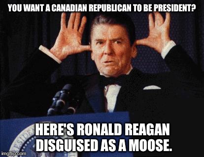 Moose Reagan | YOU WANT A CANADIAN REPUBLICAN TO BE PRESIDENT? HERE'S RONALD REAGAN DISGUISED AS A MOOSE. | image tagged in moose reagan,ted cruz | made w/ Imgflip meme maker