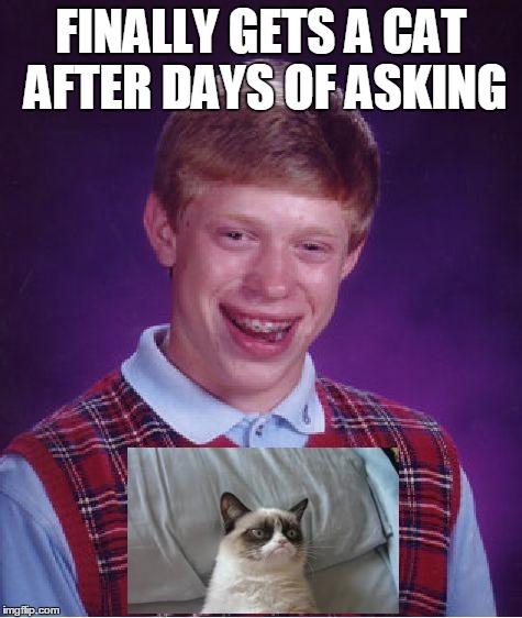 Bad Luck Brian | FINALLY GETS A CAT AFTER DAYS OF ASKING | image tagged in memes,bad luck brian,grumpy cat | made w/ Imgflip meme maker