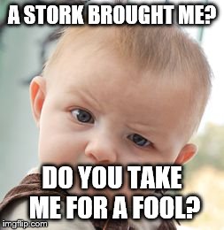 Skeptical Baby Meme | A STORK BROUGHT ME? DO YOU TAKE ME FOR A FOOL? | image tagged in memes,skeptical baby | made w/ Imgflip meme maker