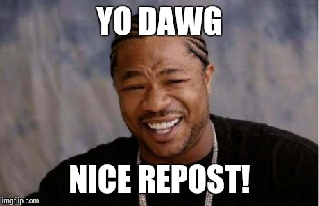 Yo Dawg Heard You Meme | YO DAWG NICE REPOST! | image tagged in memes,yo dawg heard you | made w/ Imgflip meme maker