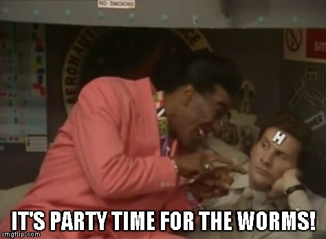 IT'S PARTY TIME FOR THE WORMS! | image tagged in red dwarf,death,buried,worms,classic | made w/ Imgflip meme maker